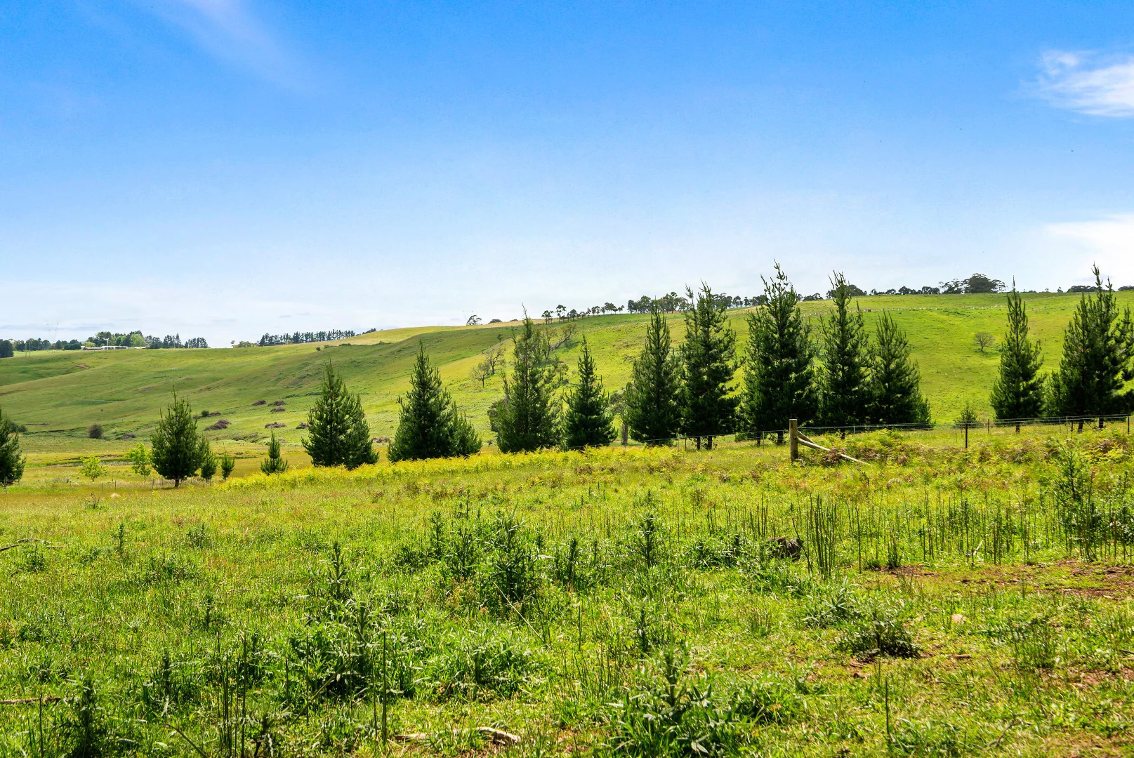 Additional image 6 of 373 Sallys Corner Road, Exeter NSW 2579