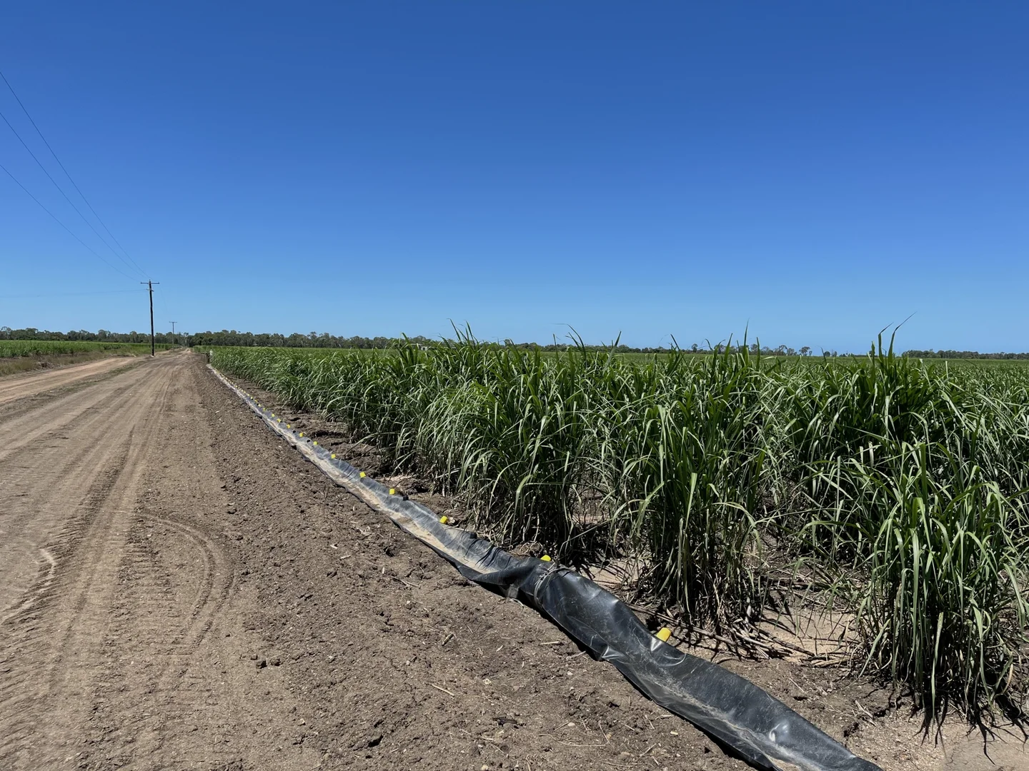 Additional image 9 of 218 Oats Road, Fredericksfield QLD 4806