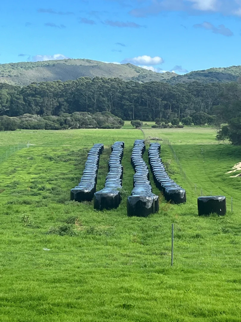 Additional image 12 of 181 Francis Road, Lowlands WA 6330