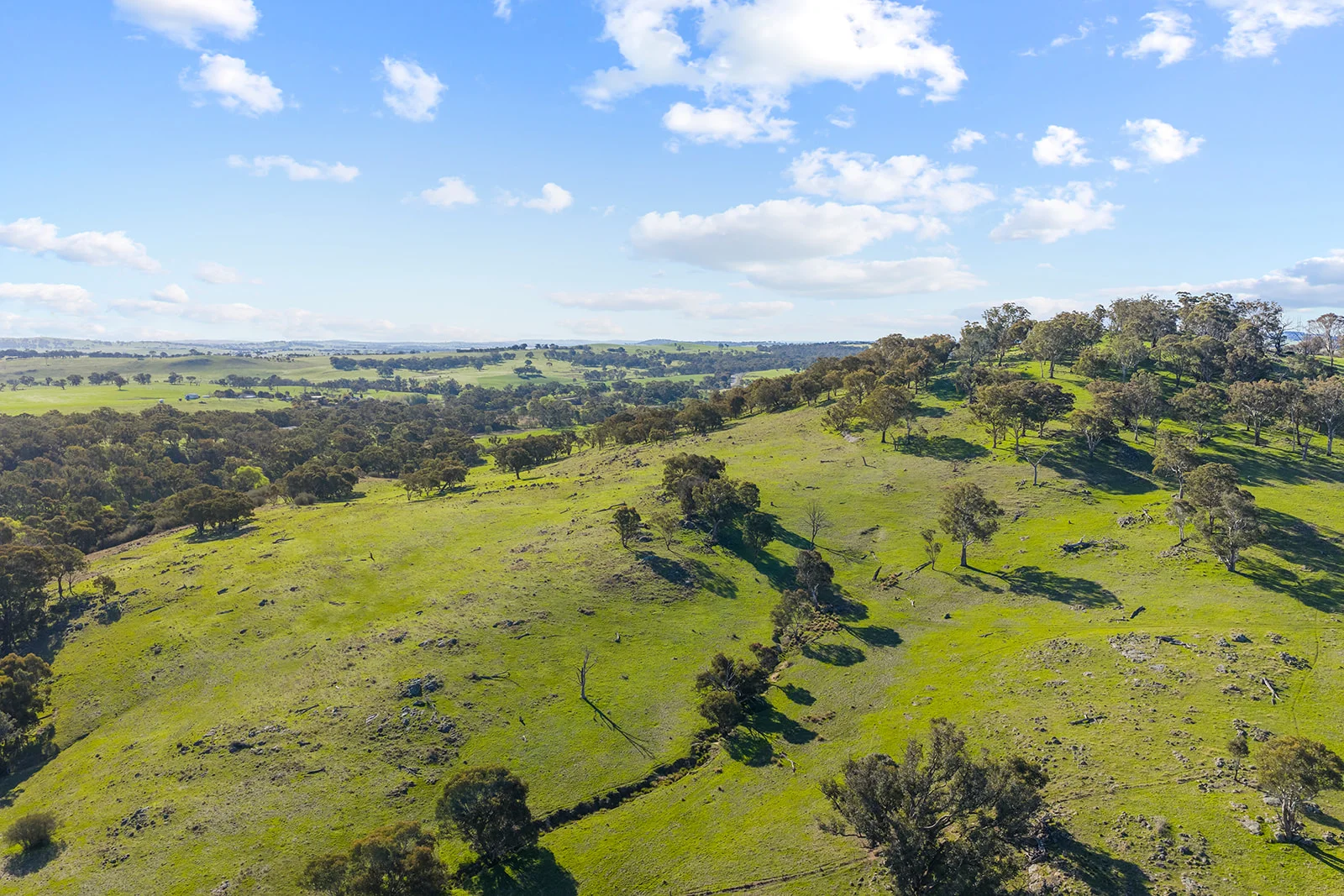 Additional image 28 of 1432 Lachlan Valley Way, Laverstock NSW 2582