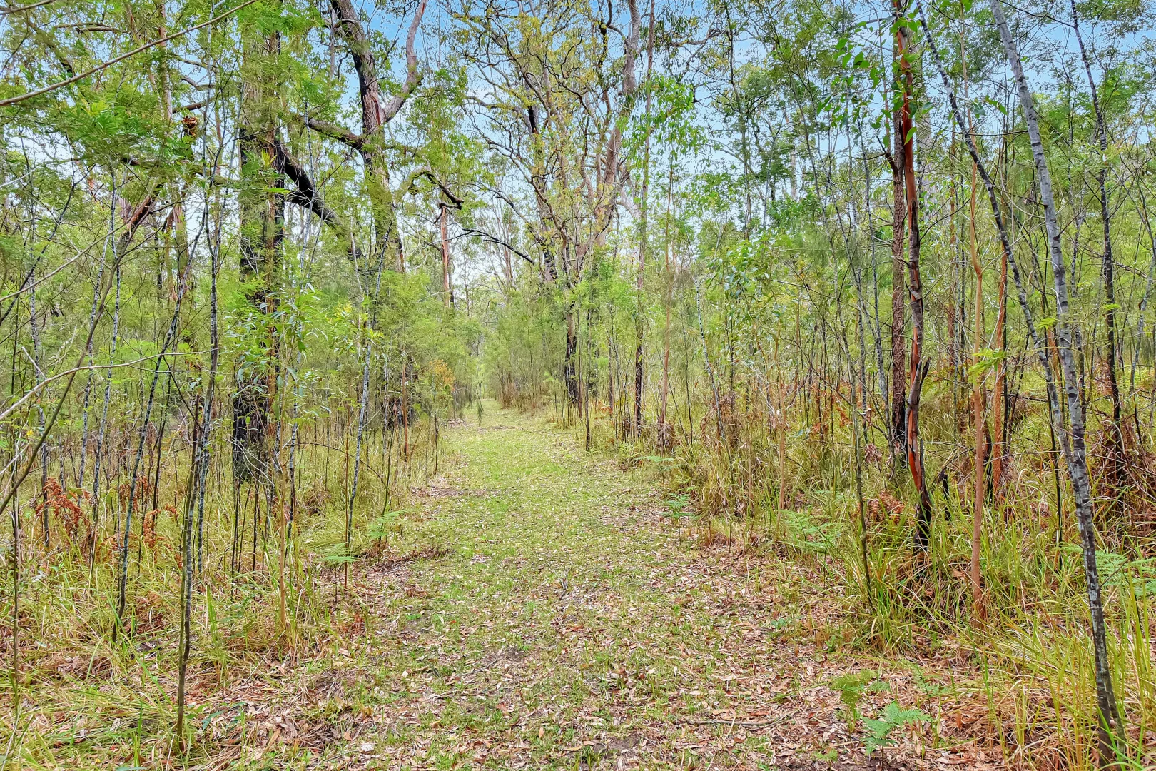 Additional image 22 of 250 Finchley Trk, Laguna NSW 2325