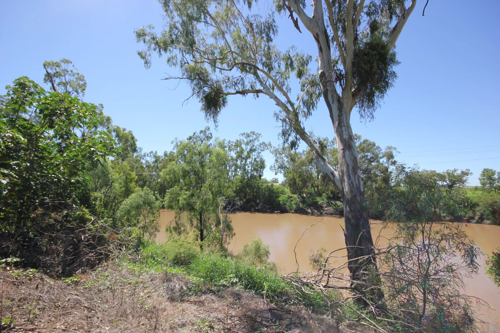 Additional image 9 of Corcoran - Sandalwood Drive, Goondiwindi QLD 4390