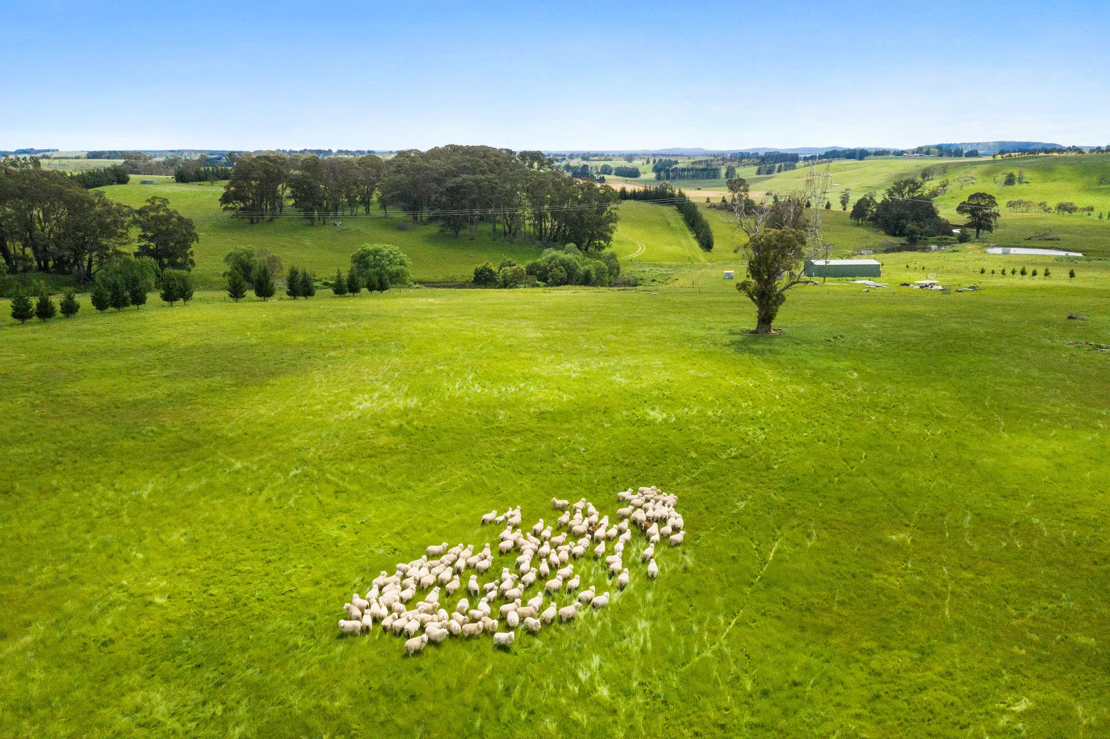 Additional image 9 of 373 Sallys Corner Road, Exeter NSW 2579