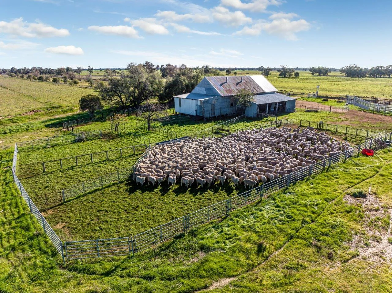 Additional image 4 of 495 Burraboi Road, Barham NSW 2732