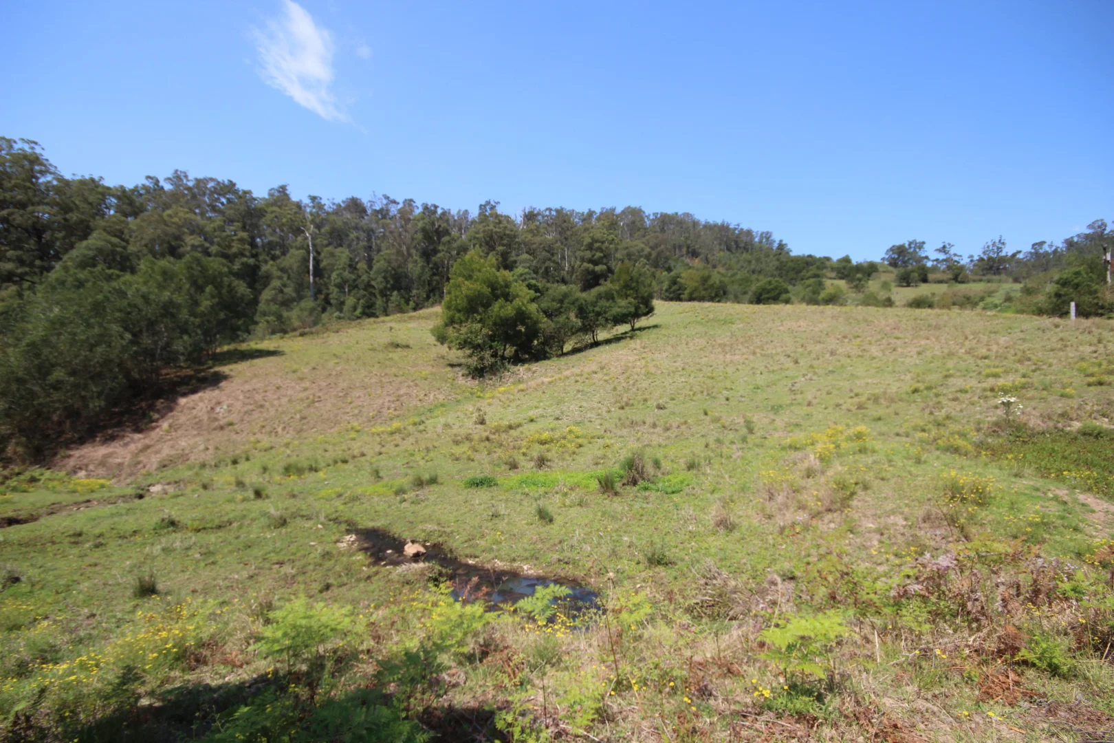 Additional image 16 of 1085 Pappinbarra Road, Lower Pappinbarra NSW 2446