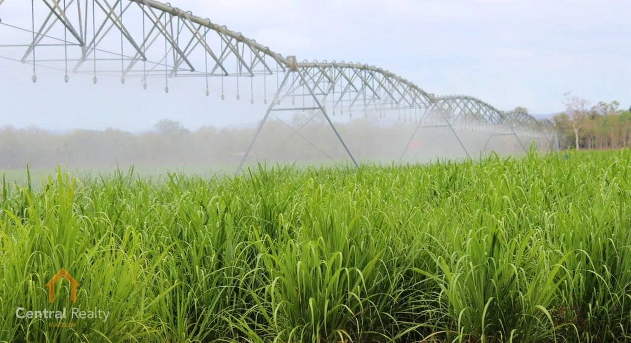 Additional image 3 of 40ML Water Allocation, Dimbulah QLD 4872