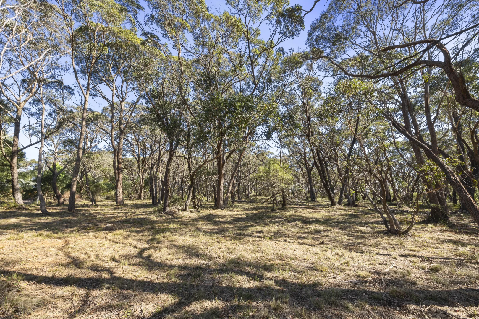 Additional image 9 of 26 Forest Park Road, Blackheath NSW 2785
