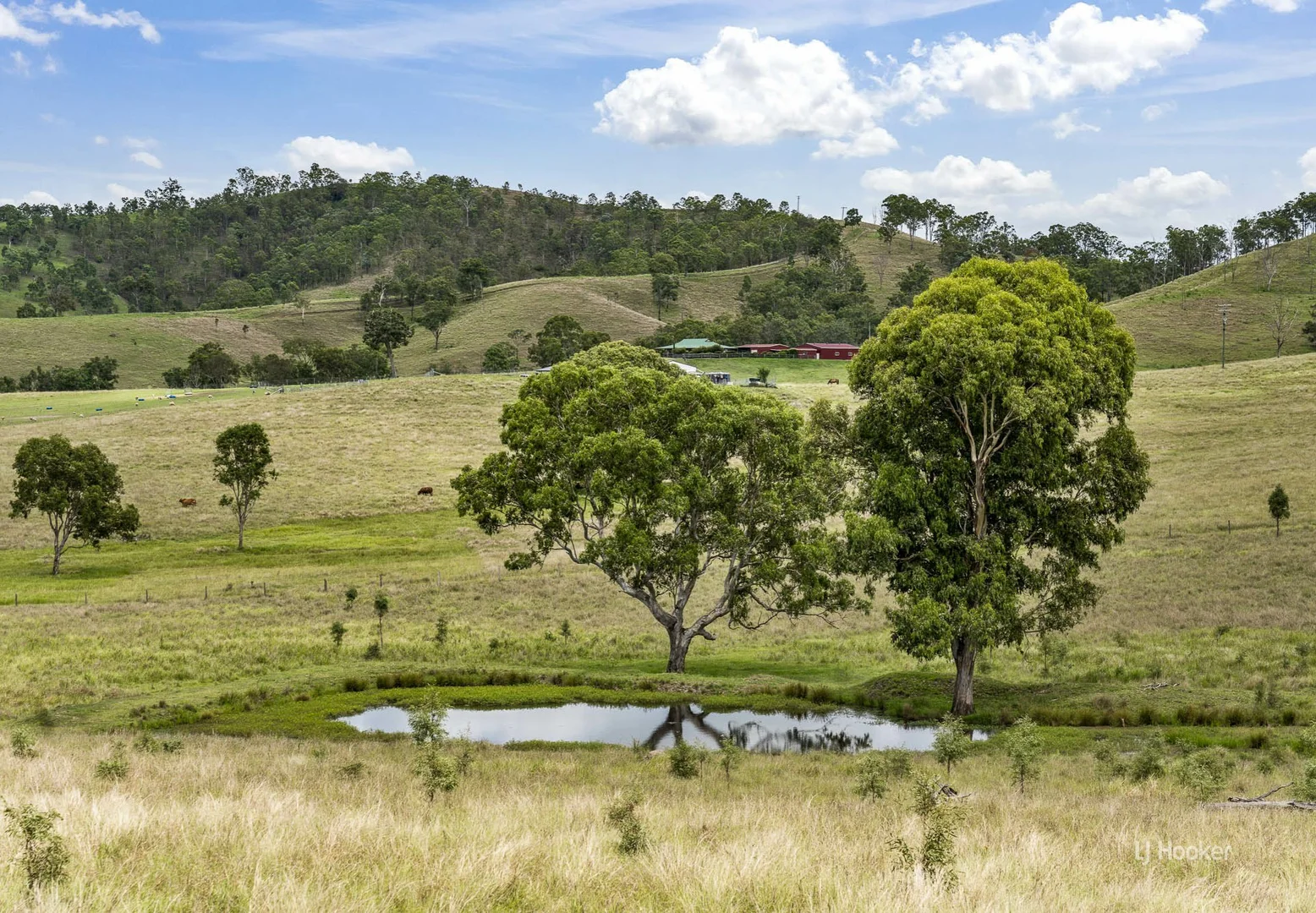 Additional image 8 of 599 Spring Creek Road, Harlin QLD 4314