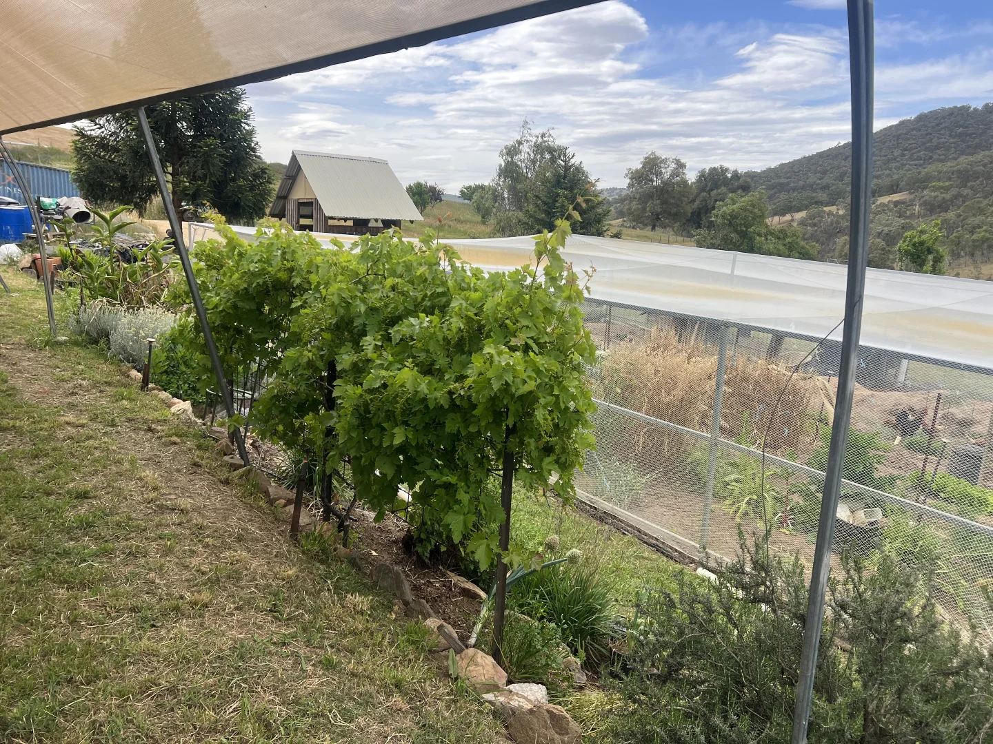 Additional image 6 of Lot 31 Lehmans Road, Talgarno VIC 3691