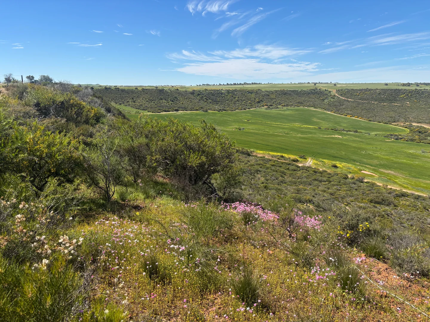 Additional image 12 of 9500 Chapman Valley Road, Narra Tarra WA 6532