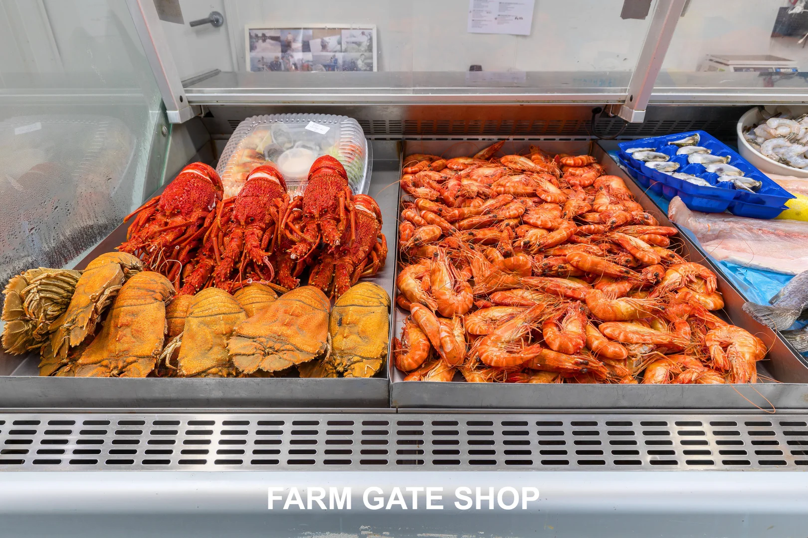 Additional image 39 of 151 Moorooduc Highway, Baxter VIC 3911