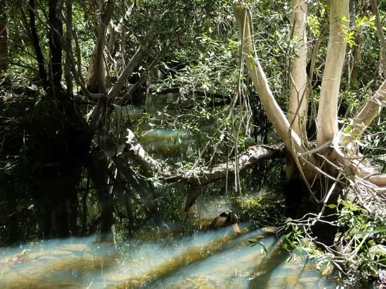 Additional image 22 of Lot 123 Two Chain Road, Koah QLD 4881