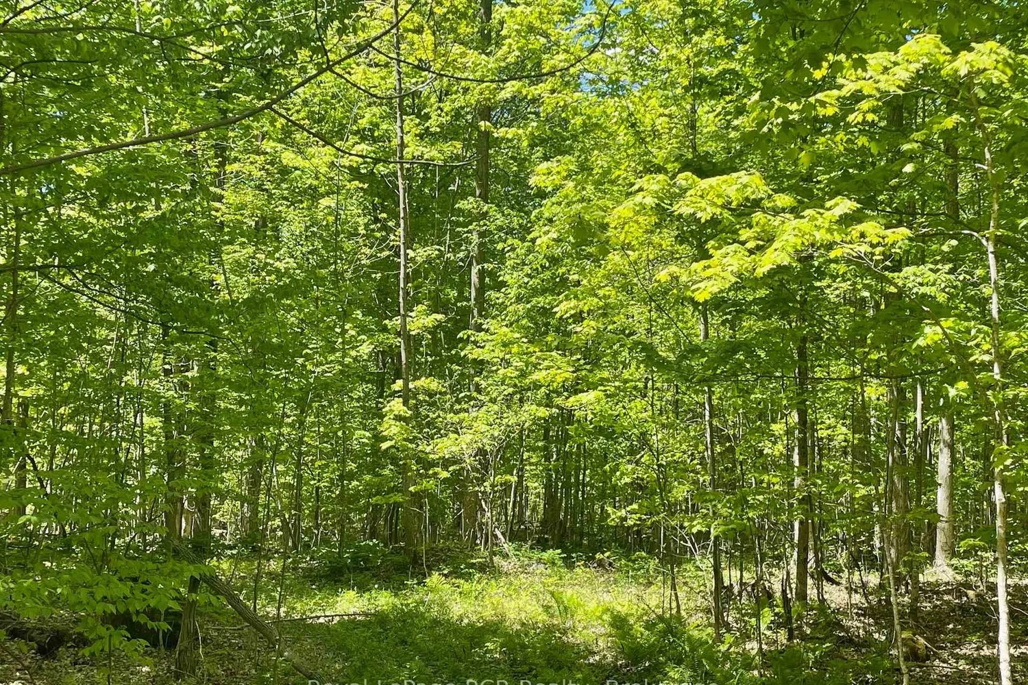 Additional image 10 of N/A Sunny Valley Road