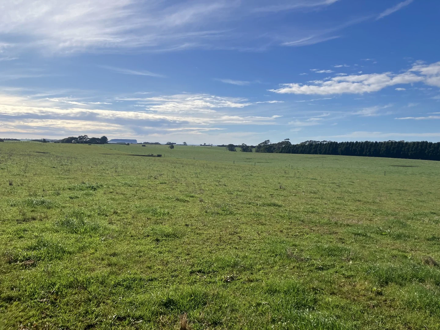 511 Backline Road, Forest TAS 7330