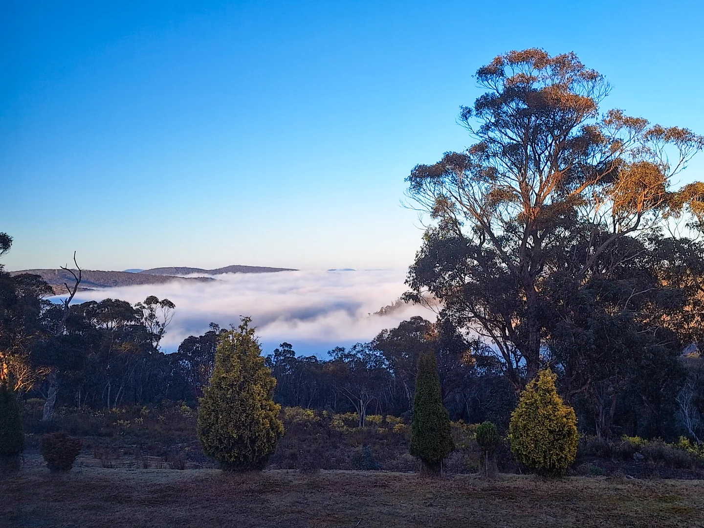 Additional image 29 of 352 State Mine Gully Road, Lithgow NSW 2790