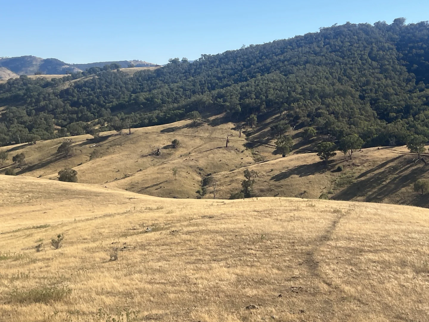 Additional image 9 of Lot 31 Lehmans Road, Talgarno VIC 3691