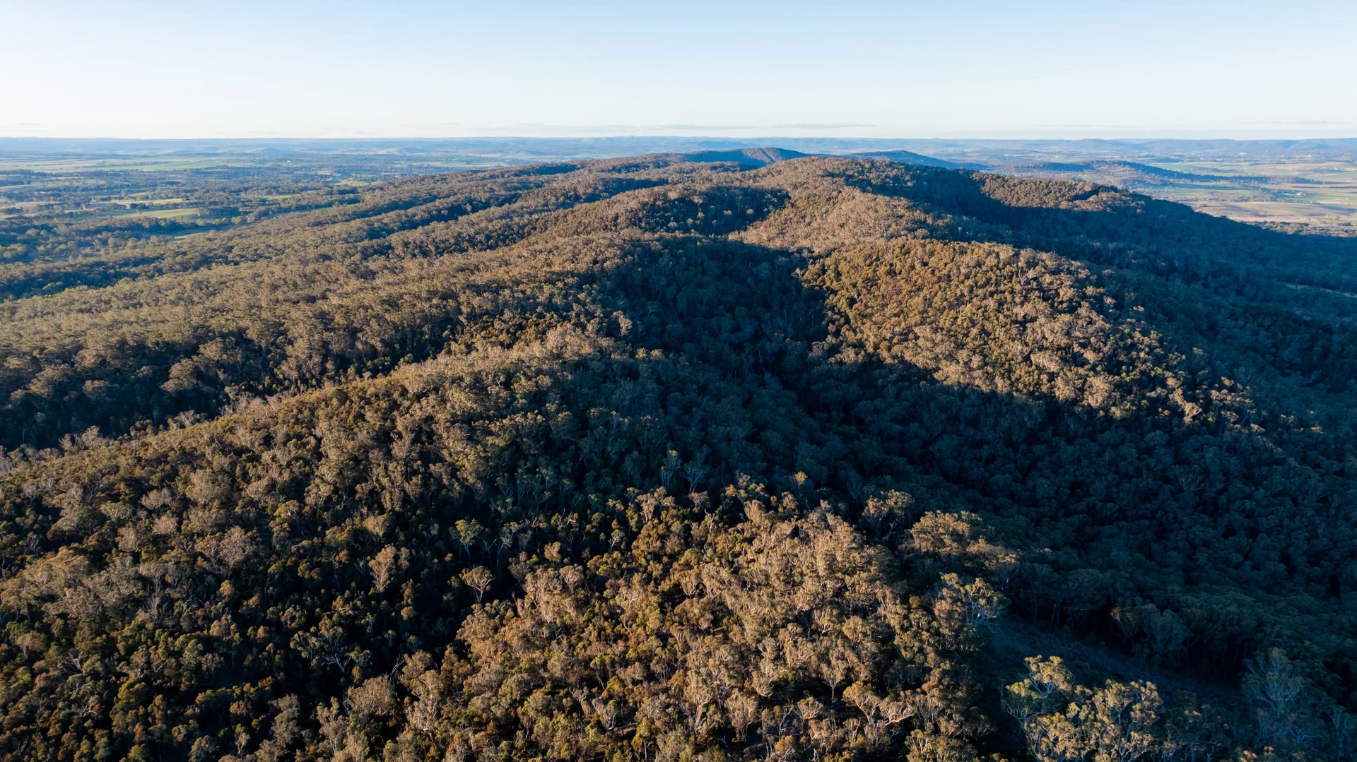 Additional image 34 of 785 Thornford Road, Goulburn NSW 2580