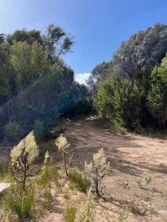 Additional image 7 of PID 6431530 Thunder & Lightning Road, Cape Barren Island TAS 7257