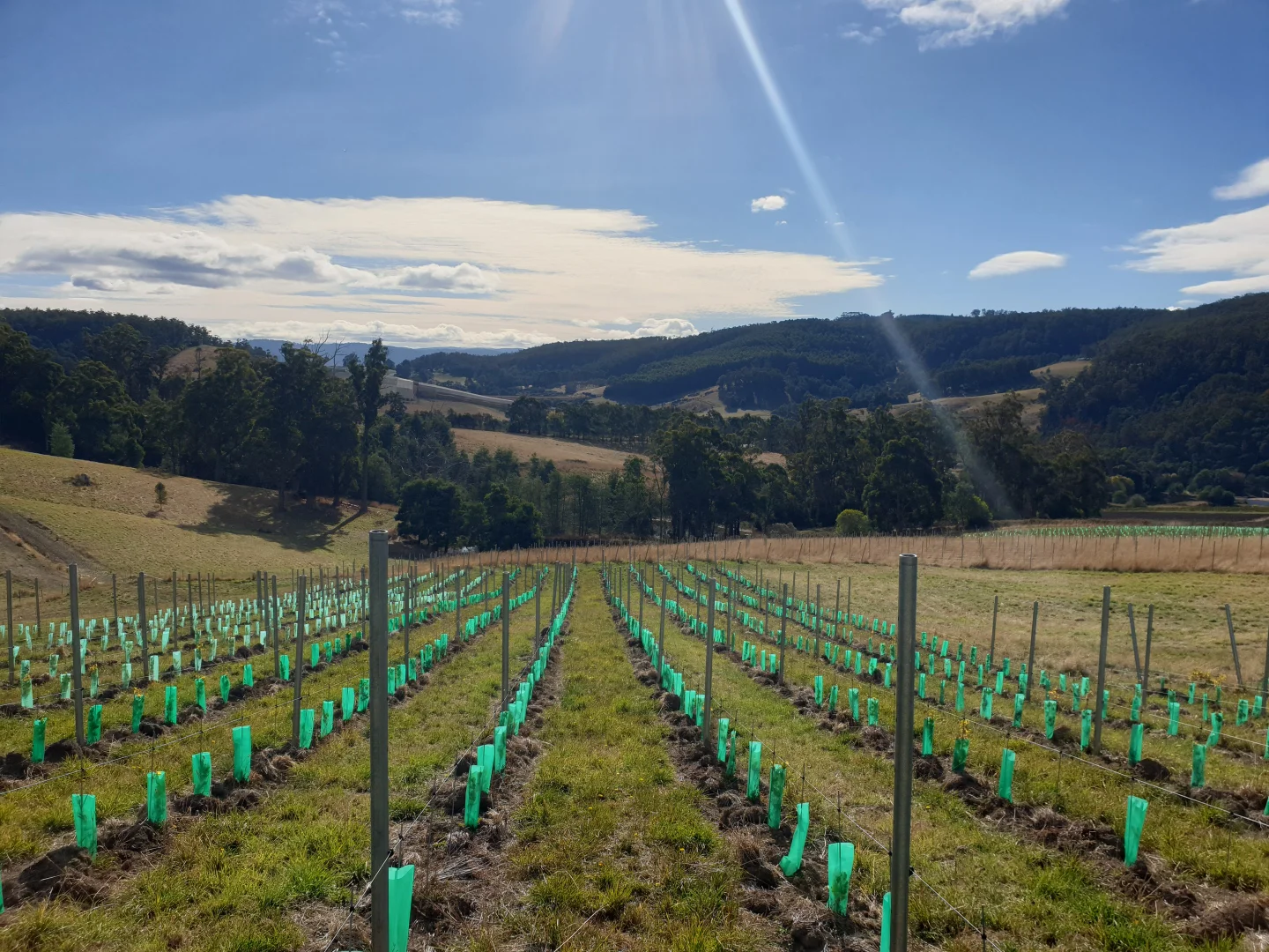 Additional image 7 of Lot 1 Wallace Road, Cygnet TAS 7112