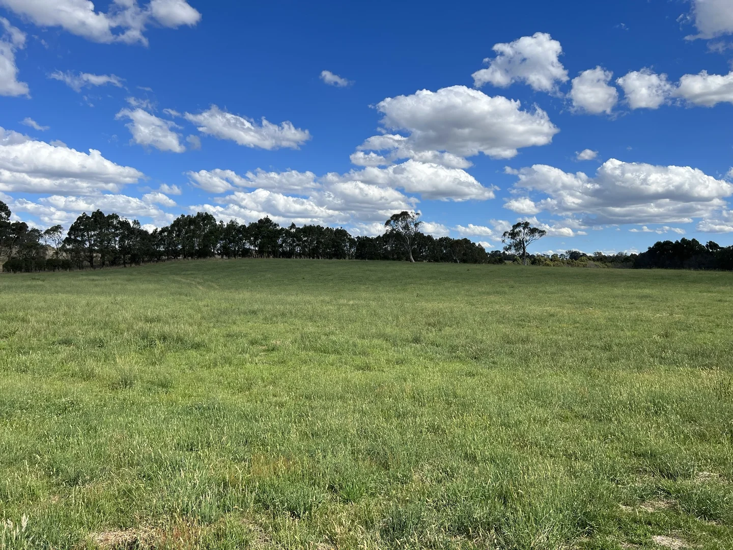 Additional image 36 of Lot 1 Mount Rae Road, Roslyn, Crookwell NSW 2583