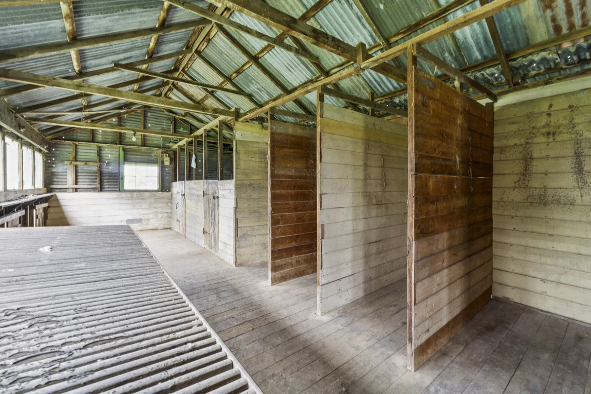 Additional image 7 of 1526 Buninyong-Mt Mercer Road, Grenville VIC 3352