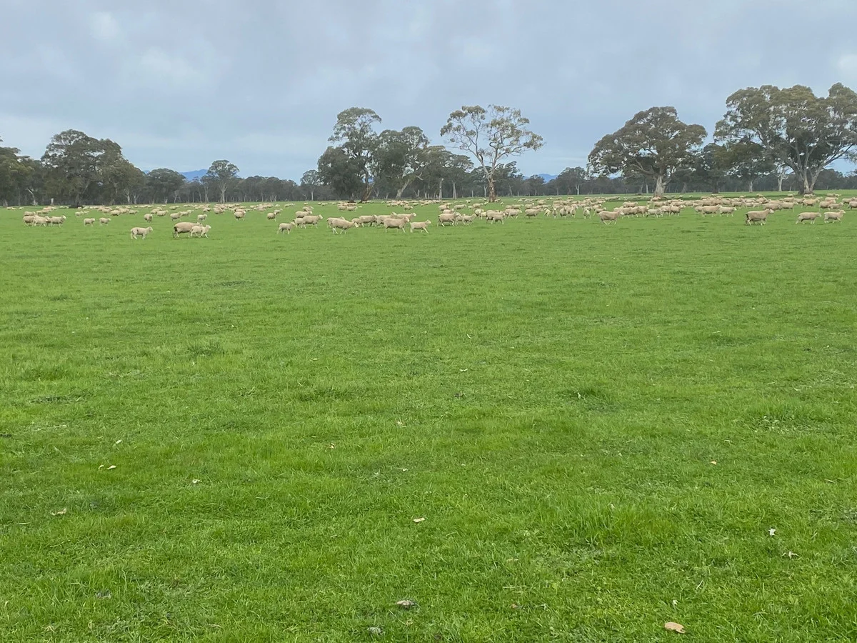 Additional image 13 of 813 Yarramyljup Road, Rocklands VIC 3401