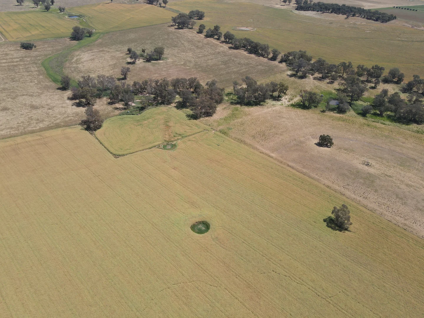 Additional image 12 of 1 Tremains Lane, Toogong NSW 2864