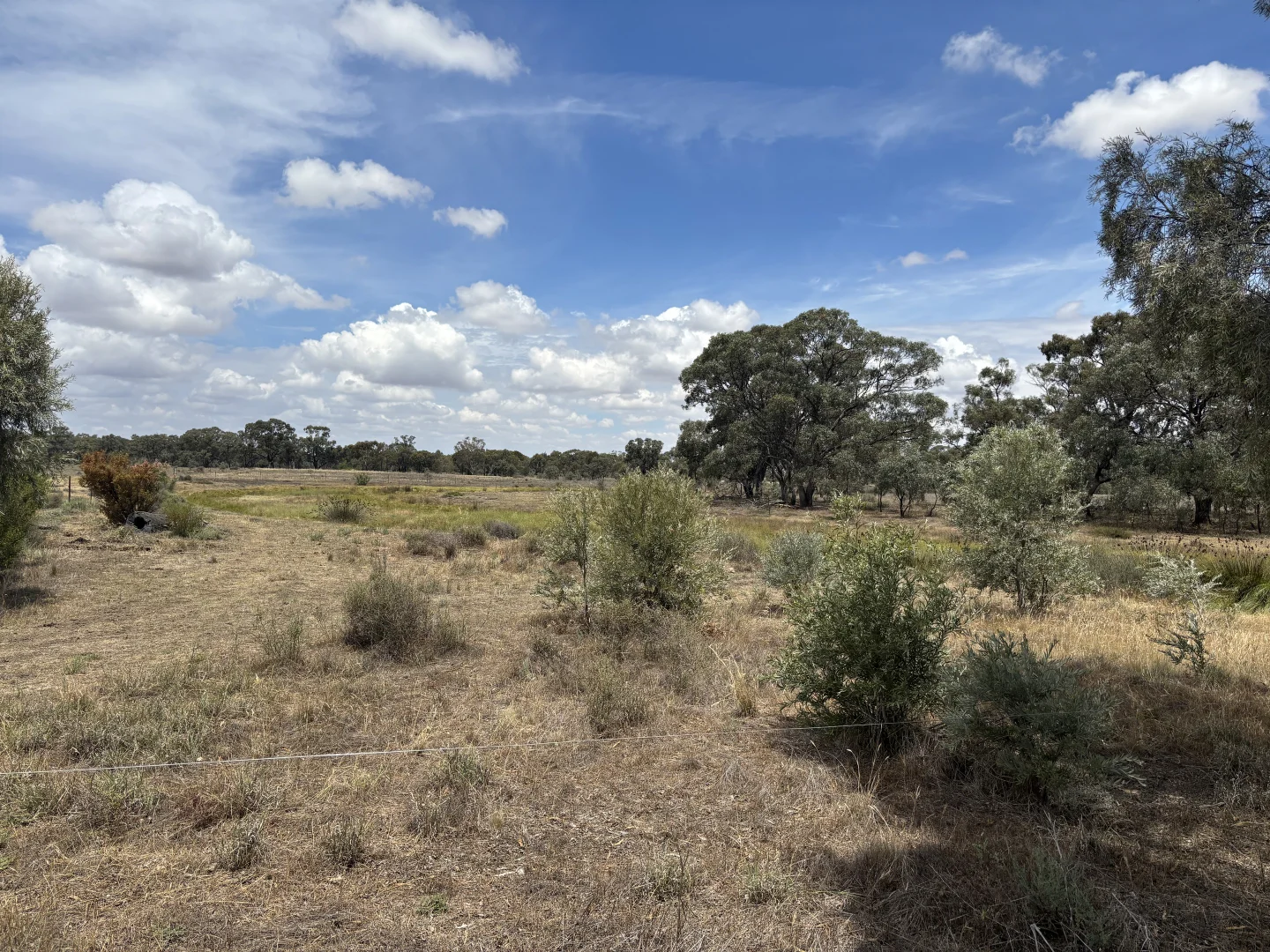 Additional image 9 of SOUTH STREET, Donald VIC 3480