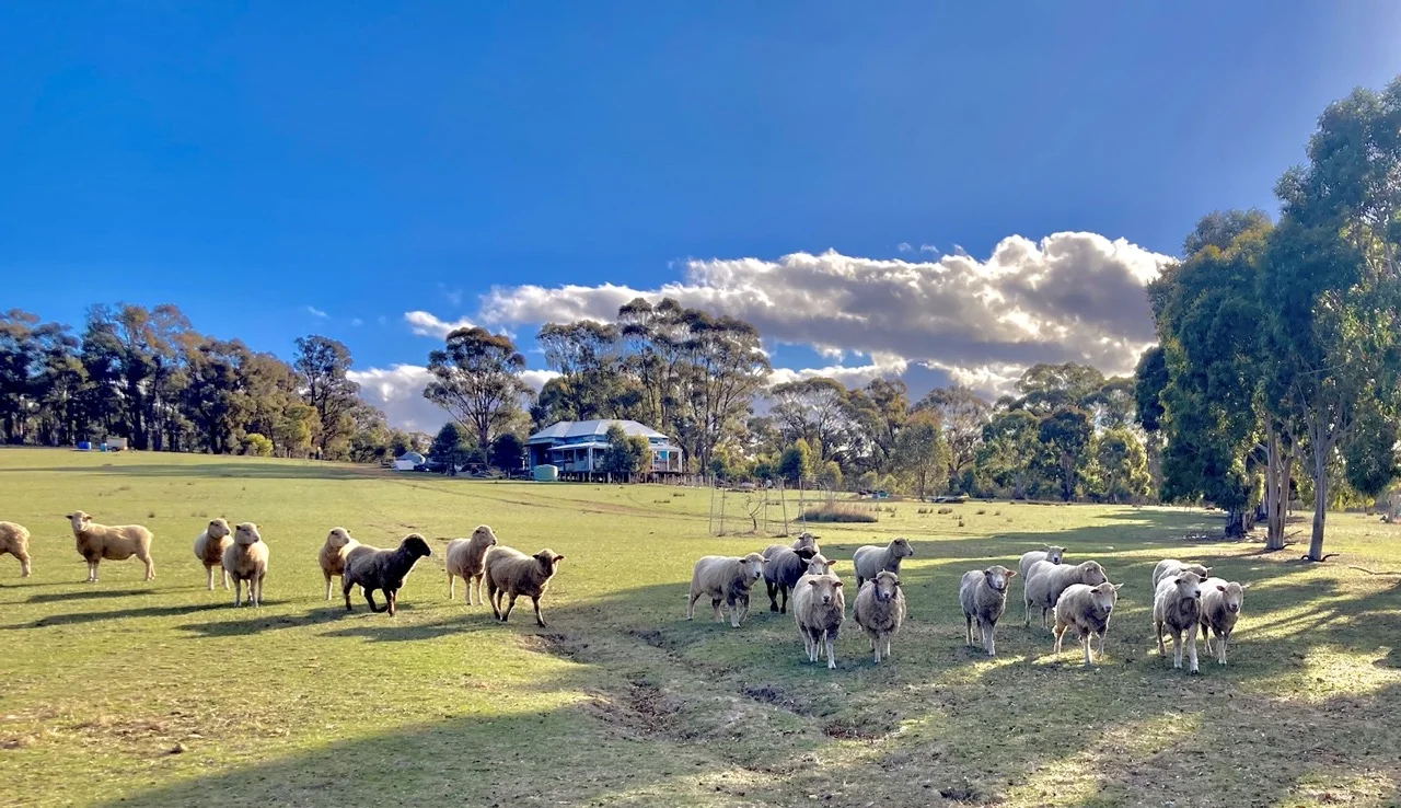 355 Lillicur Road, Amherst VIC 3371