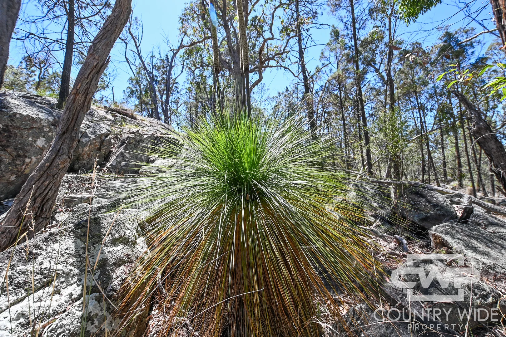 Additional image 8 of 11 Old Stannifer Road, Gilgai NSW 2360