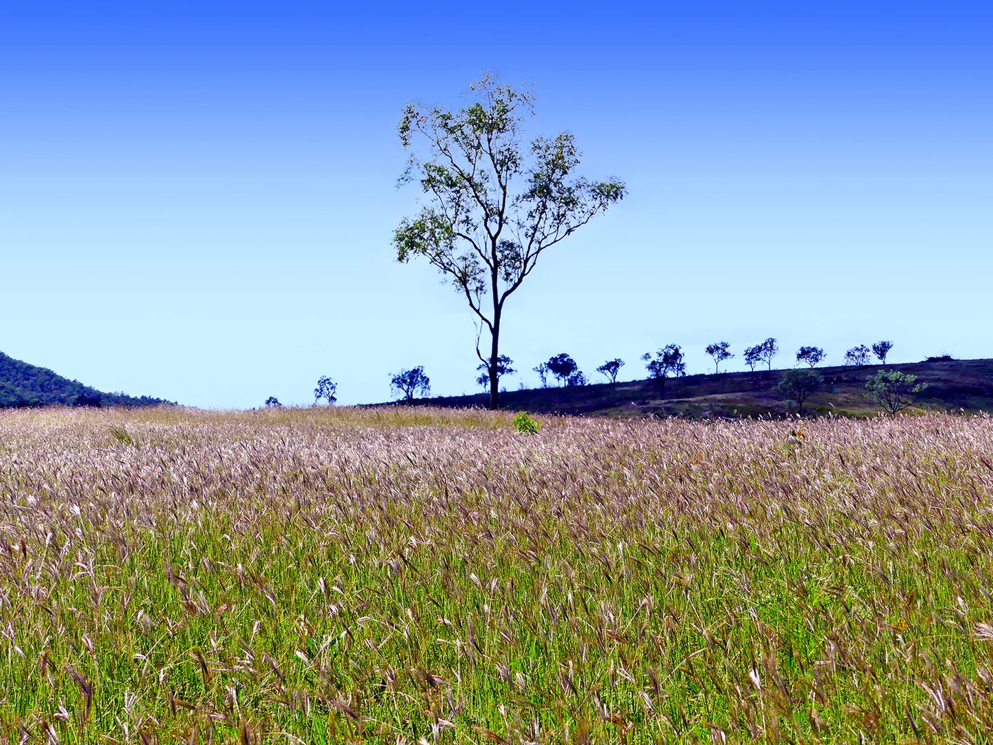 Additional image 18 of 0 'Spring Creek Hollow' Capricorn Highway, Westwood QLD 4702