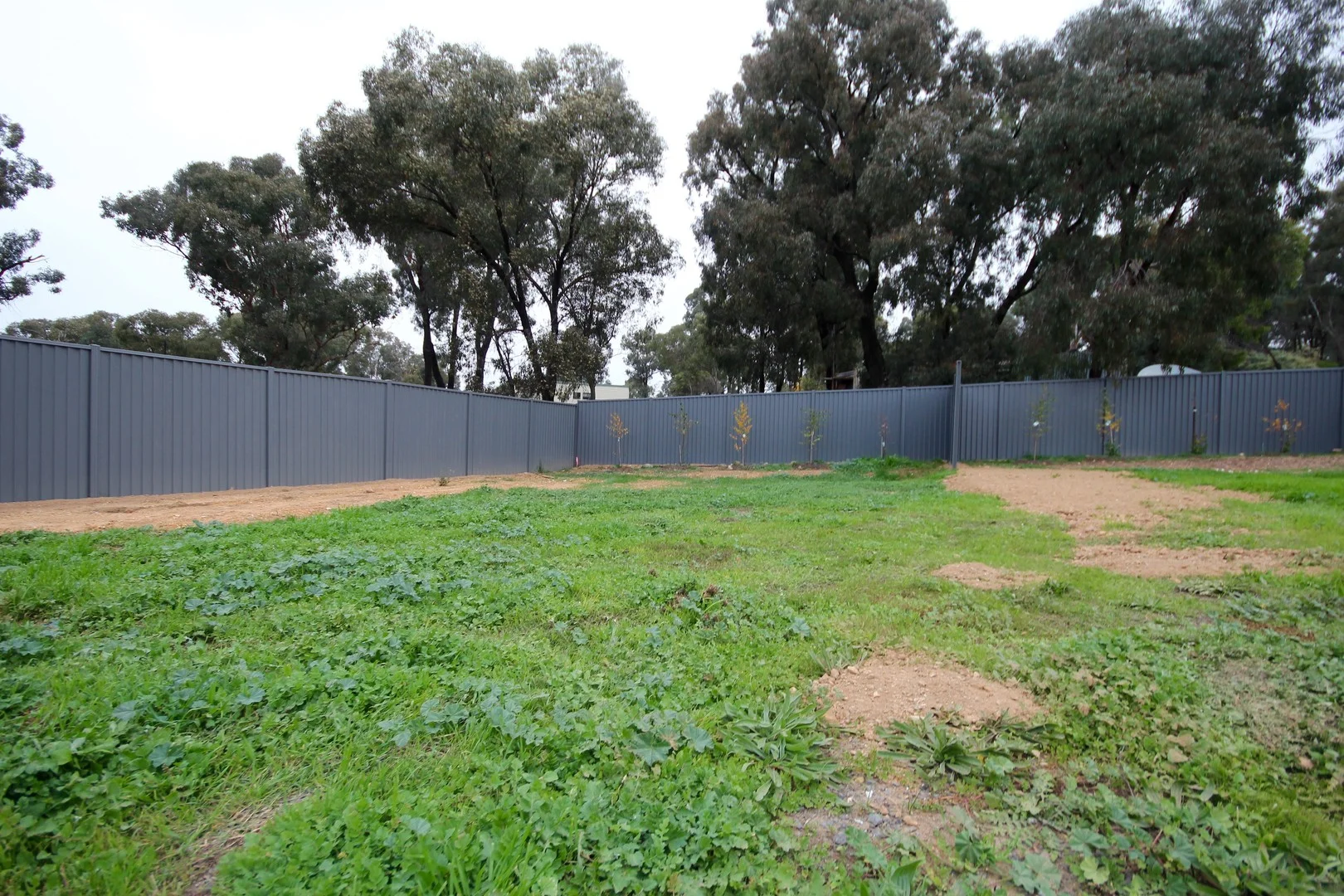 3/70B Emmett Street, Golden Square VIC 3555