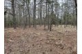 Additional image 35 of Old Bradley Rd, Mardela Springs, MD, 21837