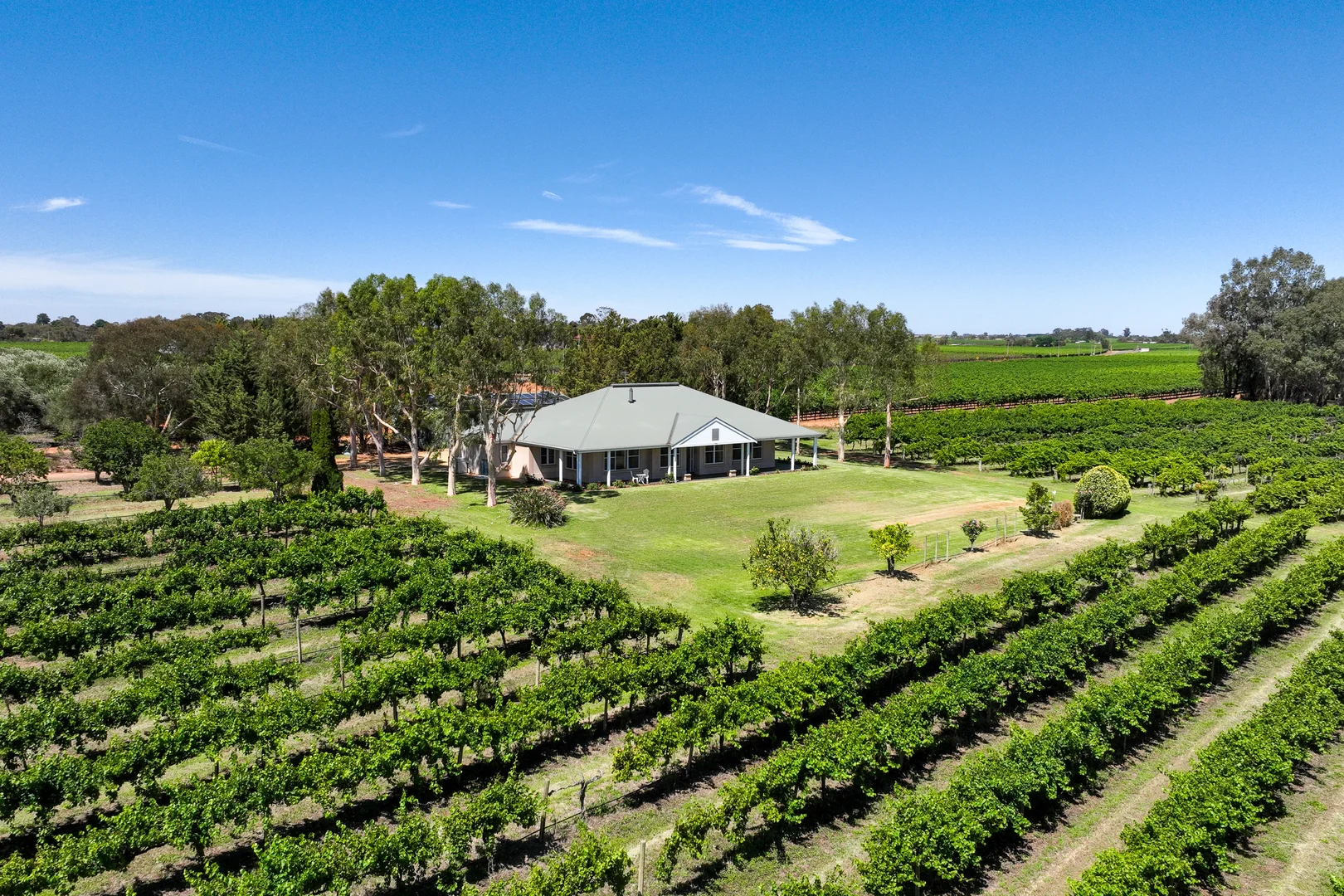 Additional image 35 of 17356 Sturt Highway, Barmera SA 5345