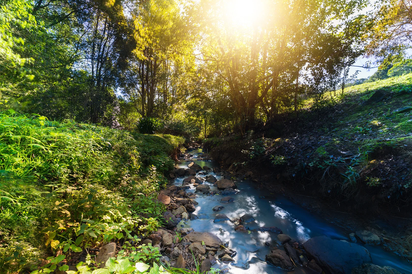 Additional image 18 of 48 Lincoln Avenue, McLeans Ridges NSW 2480