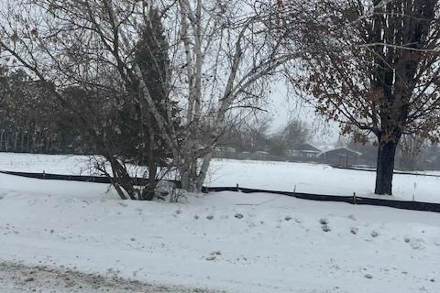 Additional image 8 of 108 Main Street