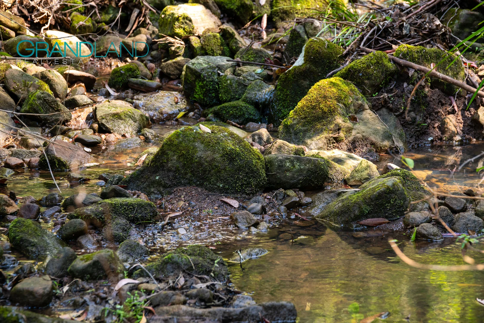 Additional image 5 of 123 News Road, Werombi NSW 2570