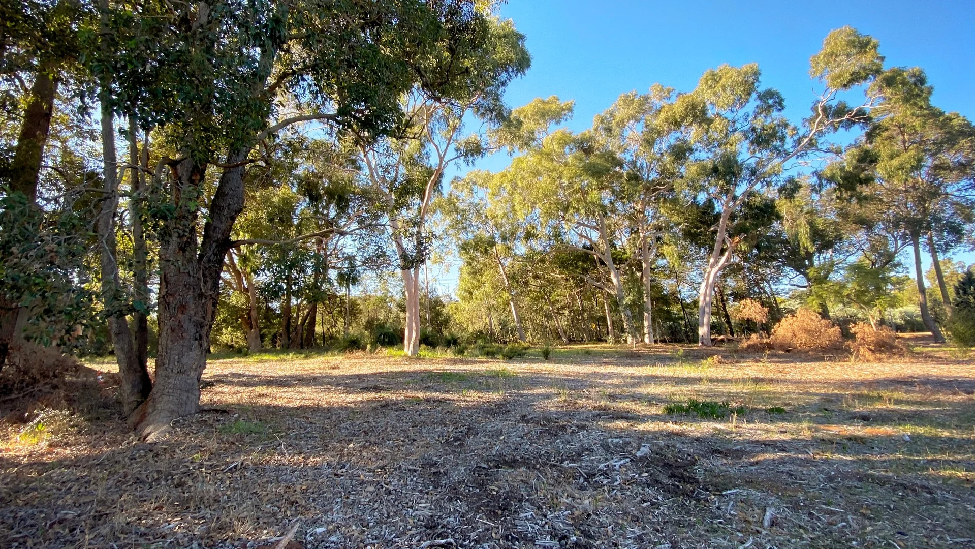 Additional image 3 of Prop Lots/98 Lawnbrook Road West, Walliston WA 6076