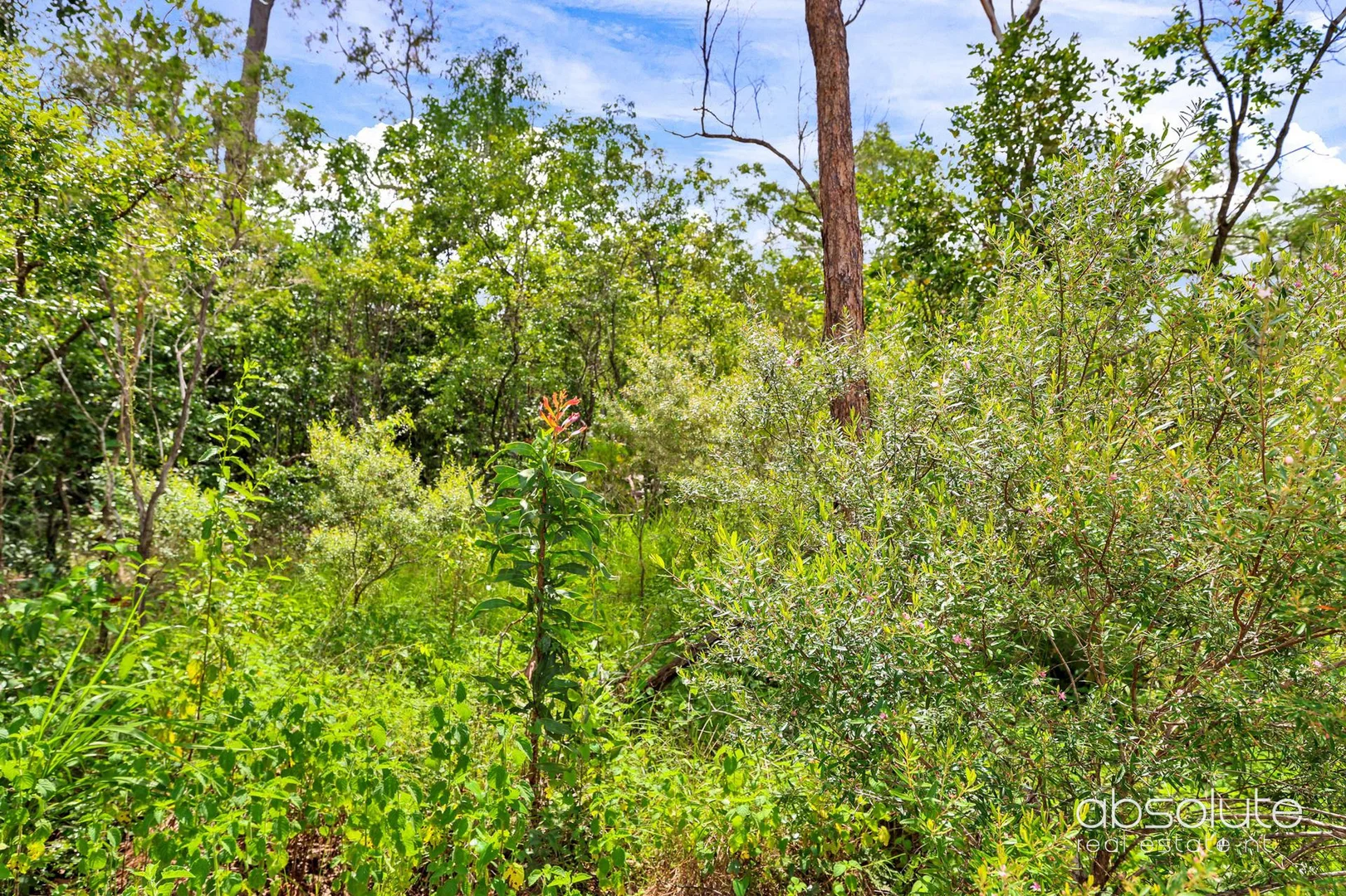 Additional image 6 of Lot 1974, 138 Lee Moyes Road, Berry Springs NT 0838