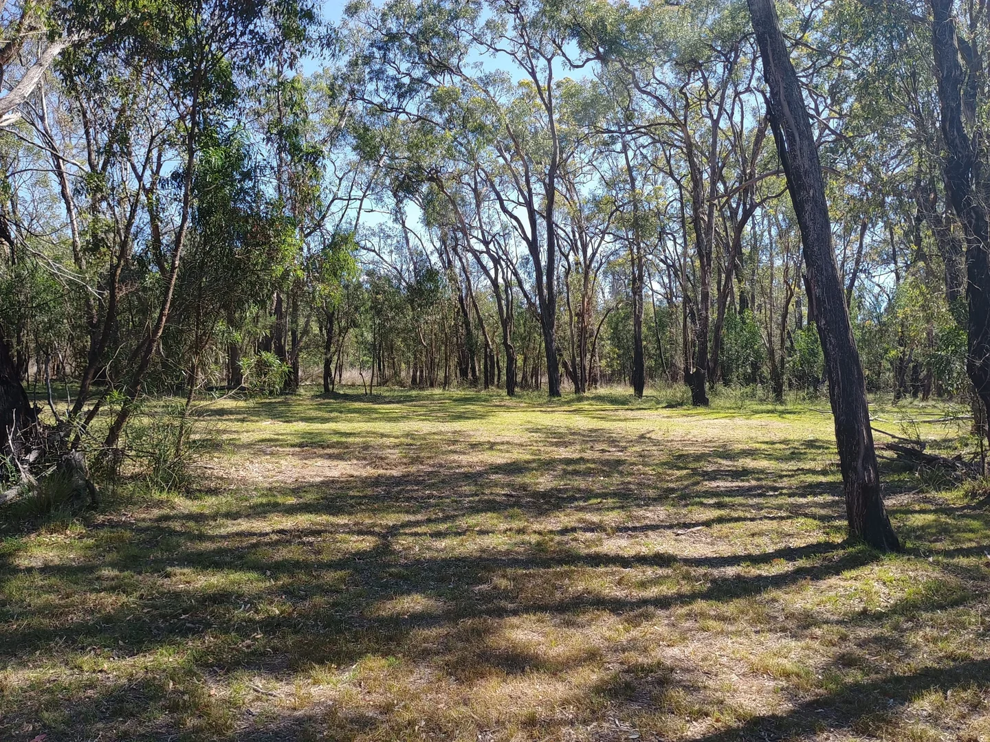 Additional image 17 of Coolah NSW 2843