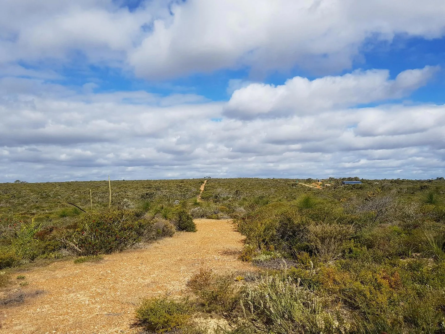 Additional image 3 of 277 PREMIER Drive, Jurien Bay WA 6516