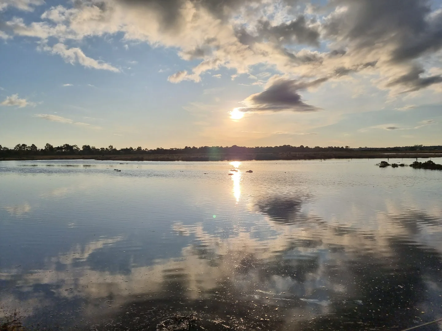 Additional image 8 of 111 CRAIGS LANE, Pearcedale VIC 3912