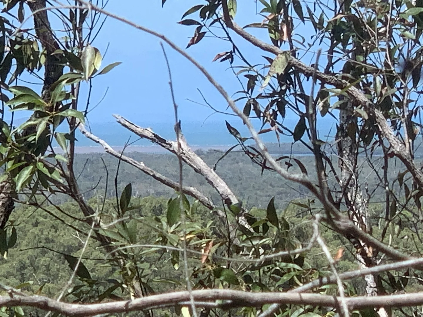 Additional image 19 of LOT 36 Whitsunday Dr, Bloomsbury QLD 4799