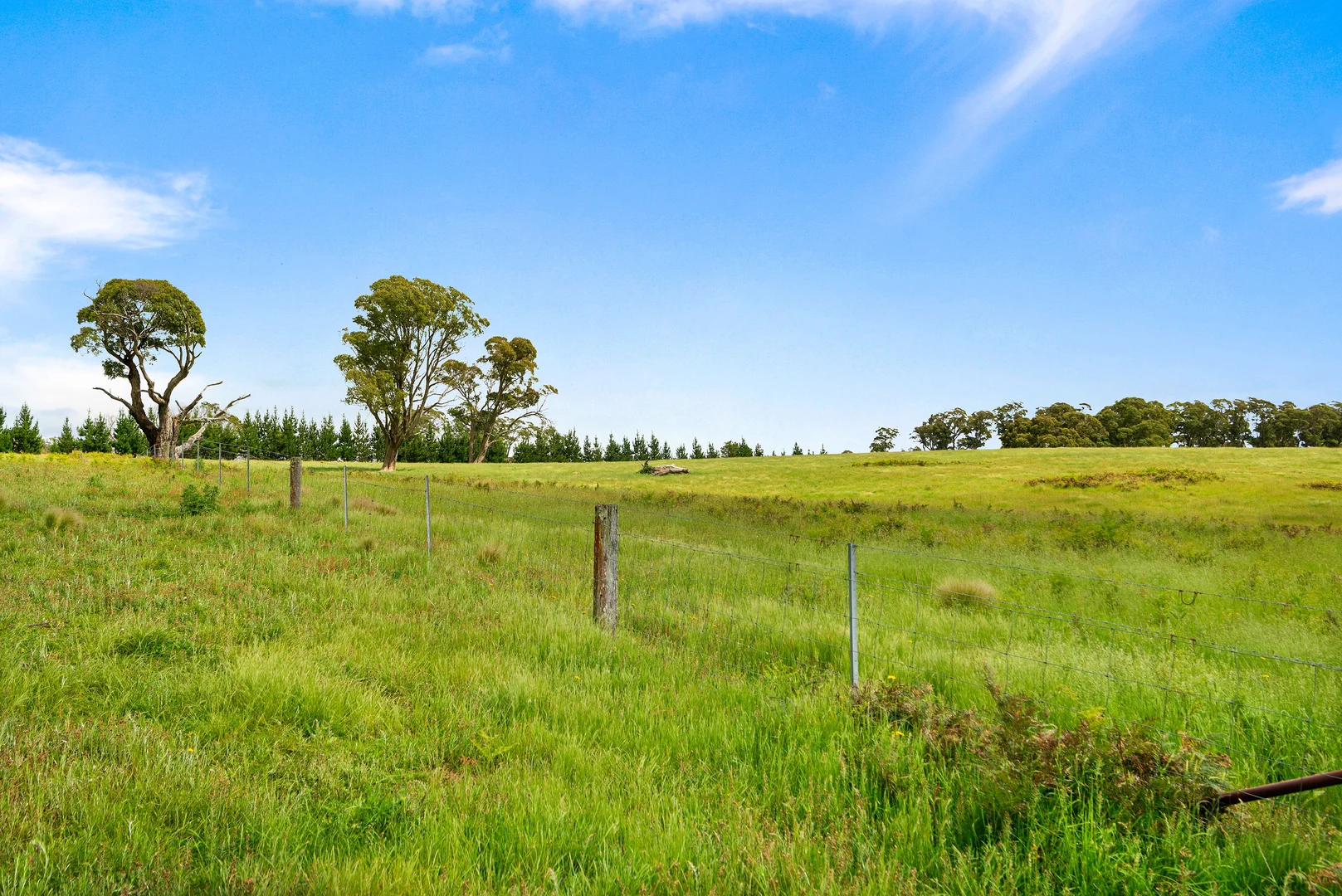 Additional image 11 of 373 Sallys Corner Road, Exeter NSW 2579