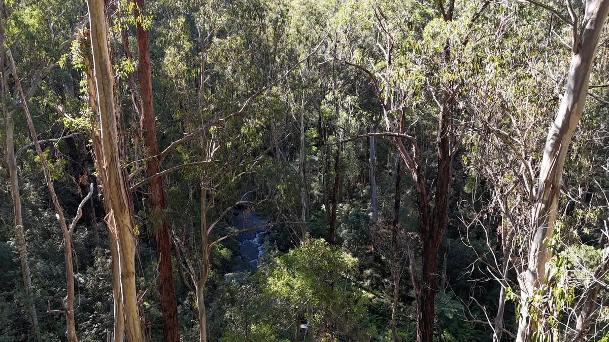 Additional image 13 of 318 Old Ocean Road, Glenaire VIC 3238