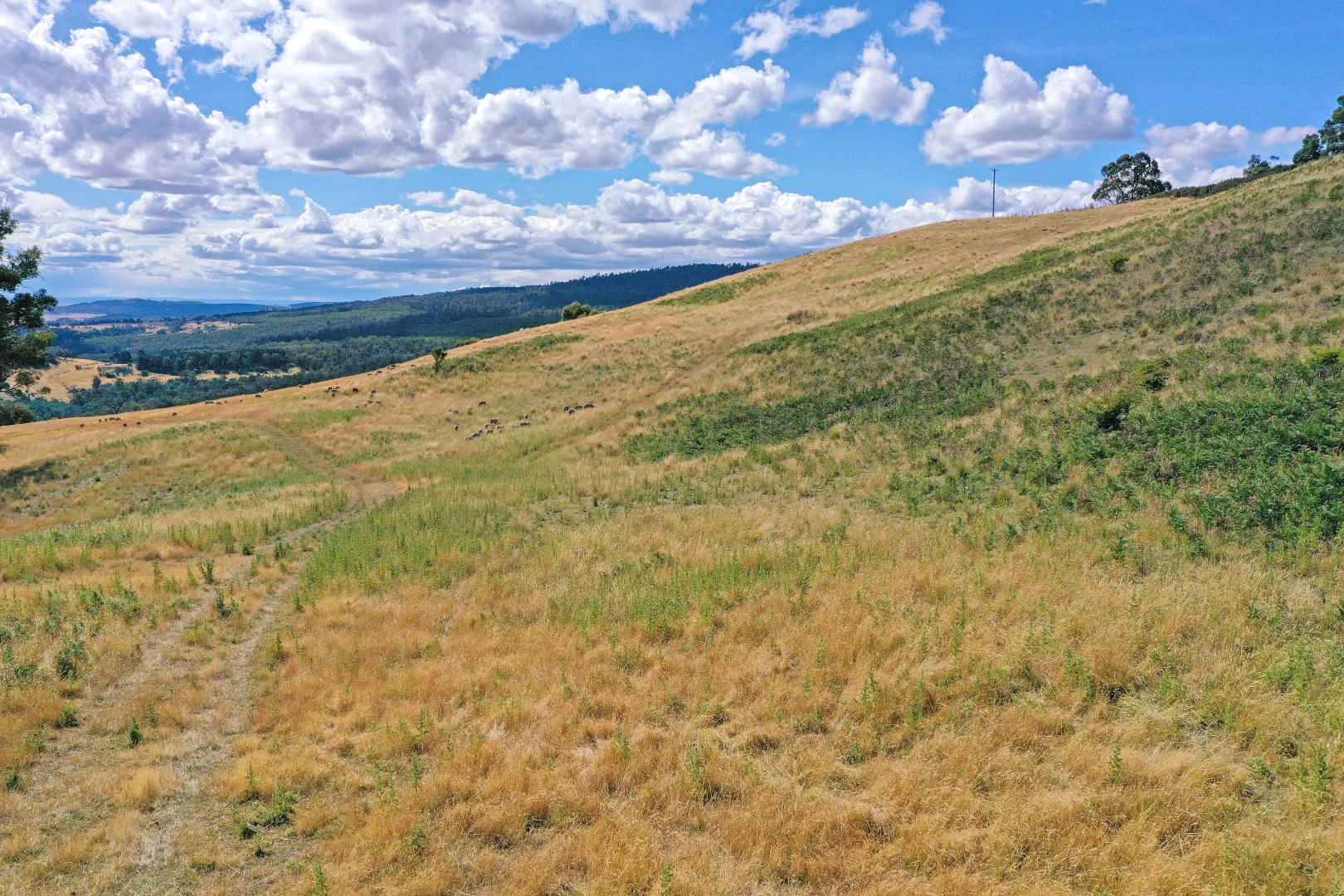 Additional image 16 of 17 Garth Lane, Black Hills TAS 7140