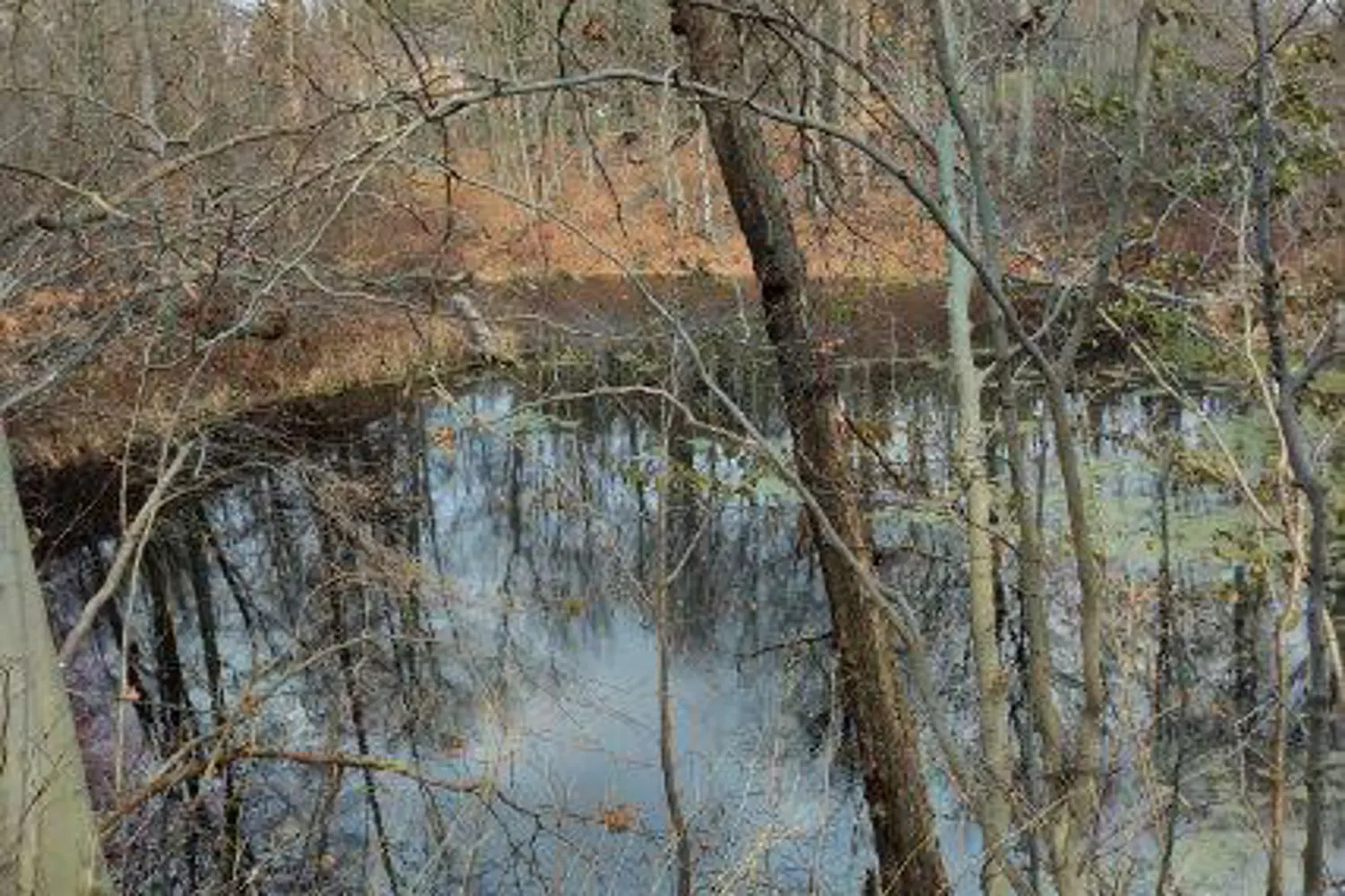 Additional image 6 of 46420 Methodist St. Street