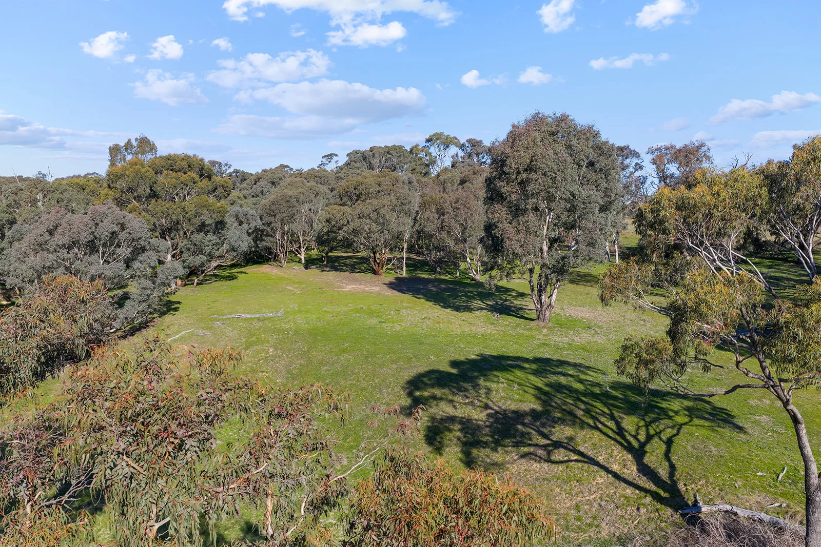 Additional image 31 of 1432 Lachlan Valley Way, Laverstock NSW 2582