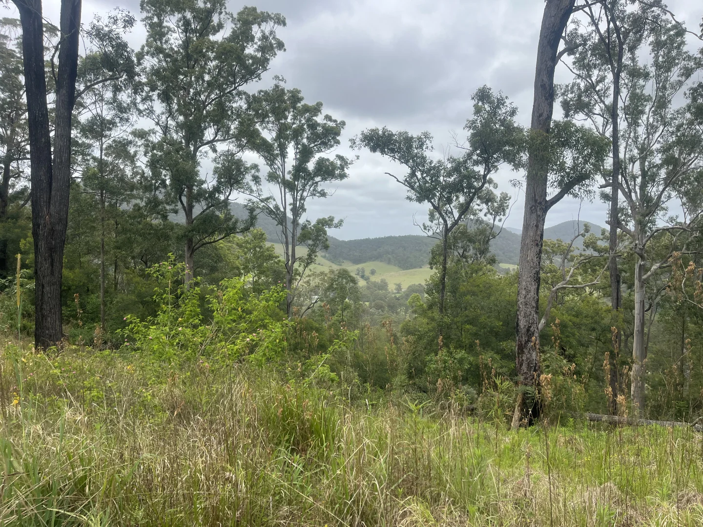 Additional image 12 of 173 Knodingbul Forest Road, Mount George NSW 2424