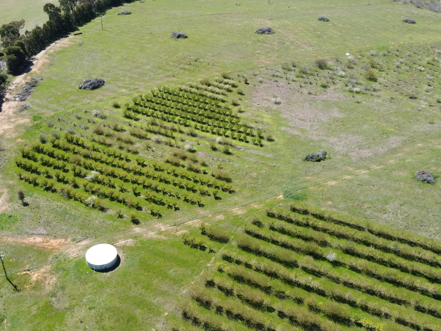 Additional image 3 of 264 Scenic Road, Young NSW 2594